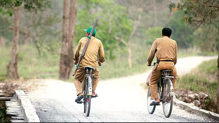 forest guards